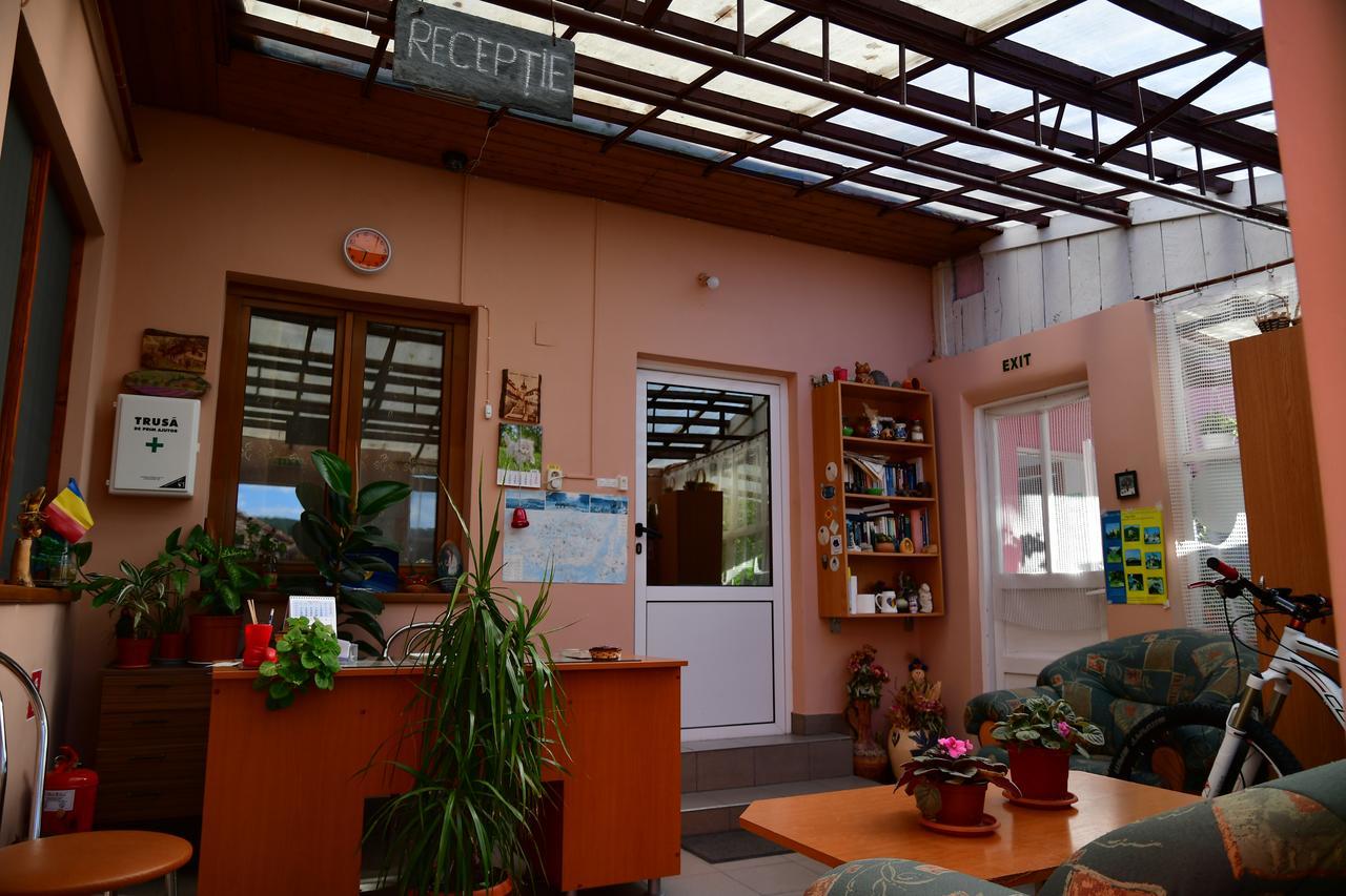 Guest house Pensiunea Cristina Si Pavel