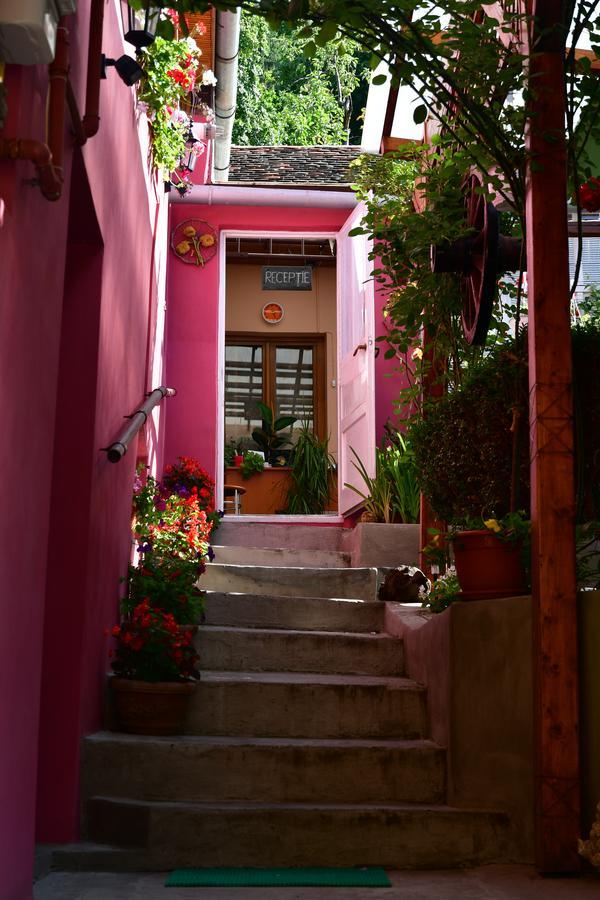 Pensiunea Cristina Si Pavel Guest house